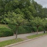 NÁBOŽENSKÁ OBEC CÍRKVE ČESKOSLOVENSKÉ HUSITSKÉ V NOVÉ PACE