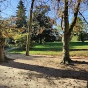 obrazek: avatar JUNÁK-ČESKÝ SKAUT, STŘEDISKO Kostelec nad Orlicí