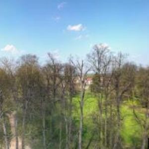 obrazek: avatar PÍSNÍK KINSKÝ , s.r.o.