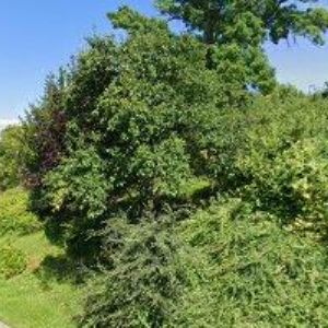 obrazek: avatar SDH Lískovice