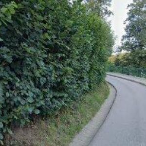 obrazek: avatar SKI SKUHROV NAD BĚLOU