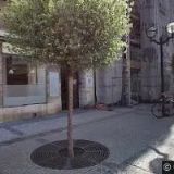 FOX REAL HK , s.r.o.