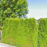 MAGISTRA-LÉKÁRNA ROKYTNICE V ORLICKÝCH HORÁCH