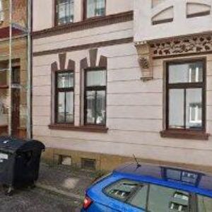 obrazek: avatar BOHEMIAN LIONS s.r.o.