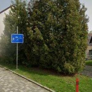 obrazek: avatar SBOR CÍRKVE ADVENTISTŮ SEDMÉHO DNE Dobruška