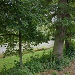 obrazek: avatar ROJEK PRODEJ , spol. s r.o.