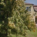 DD AGENTURA-DOLEČKOVÁ DANIELA