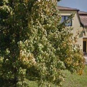 obrazek: avatar DD AGENTURA-DOLEČKOVÁ DANIELA