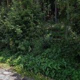 STAVITELSTVÍ RENOMA , spol. s r.o.