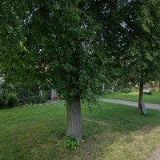 KOMÁREK MILAN-GARTEN ZAHRADNICTVÍ