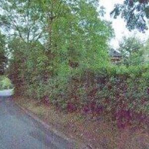 obrazek: avatar CHARVÁT RADOMÍR