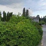 ZŠ A MŠ Rybná nad Zdobnicí