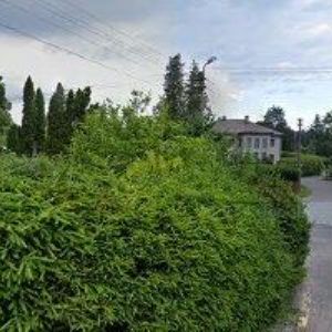 obrazek: avatar ZŠ A MŠ Rybná nad Zdobnicí