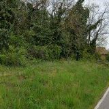 BURIANOVÁ IRENA Ing.