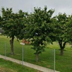 obrazek: avatar AK-ŘÍHA PETR Mgr.