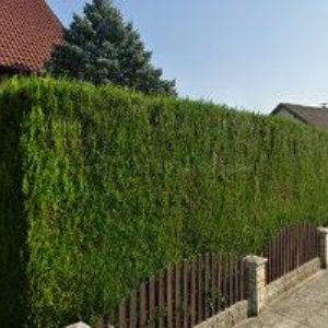 obrazek: avatar GOLF CLUB JIČÍN