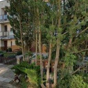 obrazek: avatar HORČIČKO MILOŠ Ing.