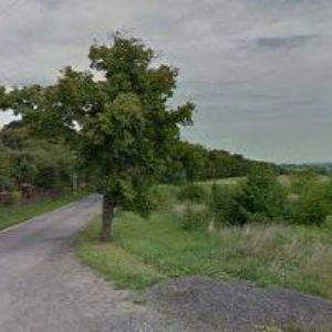 obrazek: avatar VOLTR TOMÁŠ Ing.