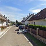 HOLEČKOVÁ DANA RNDr.-PORTRÉTY ZVÍŘAT