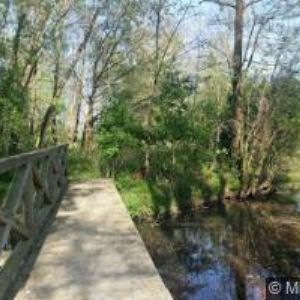 obrazek: avatar GP DEVELOP , s.r.o.