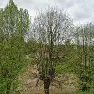 obrazek: avatar FARNÍ SBOR ČESKOBRATRSKÉ CÍRKVE EVANGELICKÉ V SEMONICÍCH