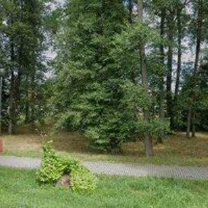 obrazek: avatar GIFTY s.r.o.