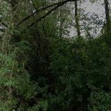 ŠTICHAUEROVÁ LENKA Ing. et Bc.