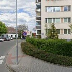 obrazek: avatar ZO ČESKÉHO ZAHRÁDKÁŘSKÉHO SVAZU ZLATÁ RŮŽE Hradec Králové 9