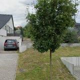 BECHNÝ , spol. s r.o.