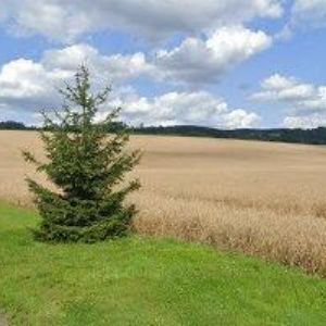 obrazek: avatar PRAŽÁK RADOVAN