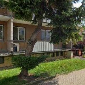 obrazek: avatar PGART