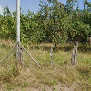 obrazek: avatar BARTOŠ JAROSLAV Ing.