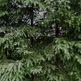 GREGOR JAROSLAV Ing.