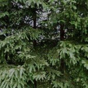 obrazek: avatar GREGOR JAROSLAV Ing.