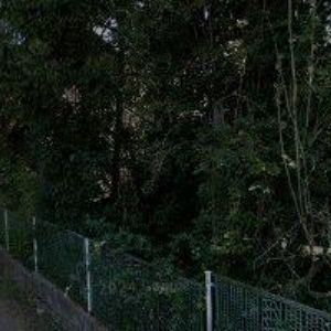 obrazek: avatar OBRAZY DO INTERIÉRU