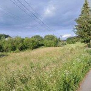 obrazek: avatar TOBIŠKOVÁ MARIE