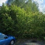 HORNIČÁŘOVÁ JITKA