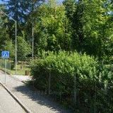 DŮM DĚTÍ A MLÁDEŽE ULITA Broumov