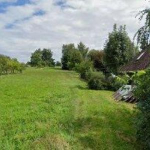 obrazek: avatar KRÁLOVEDVORSKÁ ARNIKA