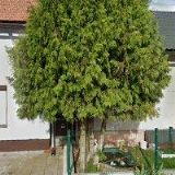 STUDIO AKTIVNÍ REKREACE s.r.o.