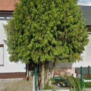 obrazek: avatar STUDIO AKTIVNÍ REKREACE s.r.o.