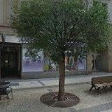 SKUPINA HISTORICKÉHO ŠERMU FORTIS