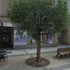 obrazek: avatar SKUPINA HISTORICKÉHO ŠERMU FORTIS