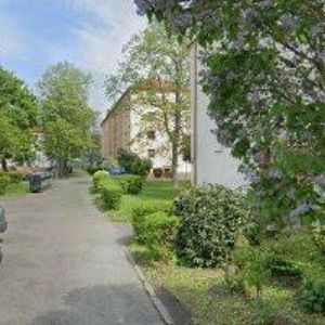 obrazek: avatar ELINOPU