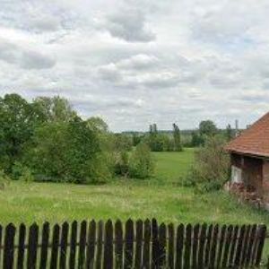 obrazek: avatar PIONÝRSKÁ SKUPINA RADOST