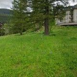 SKI KLUB ŠPINDL PRODUKCE s.r.o.