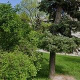 FARNÍ SBOR ČESKOBRATRSKÉ CÍRKVE EVANGELICKÉ V NOVÉM BYDŽOVĚ