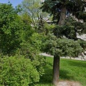 obrazek: avatar FARNÍ SBOR ČESKOBRATRSKÉ CÍRKVE EVANGELICKÉ V NOVÉM BYDŽOVĚ