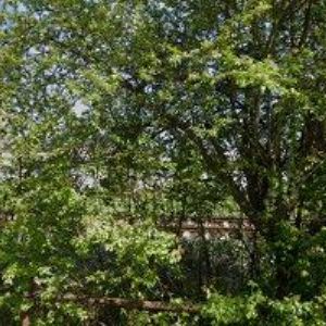 obrazek: avatar MLADÍ OCHRÁNCI PŘÍRODY, BIMBRLATA