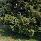 MŠ ČTYŘLÍSTEK Rychnov nad Kněžnou